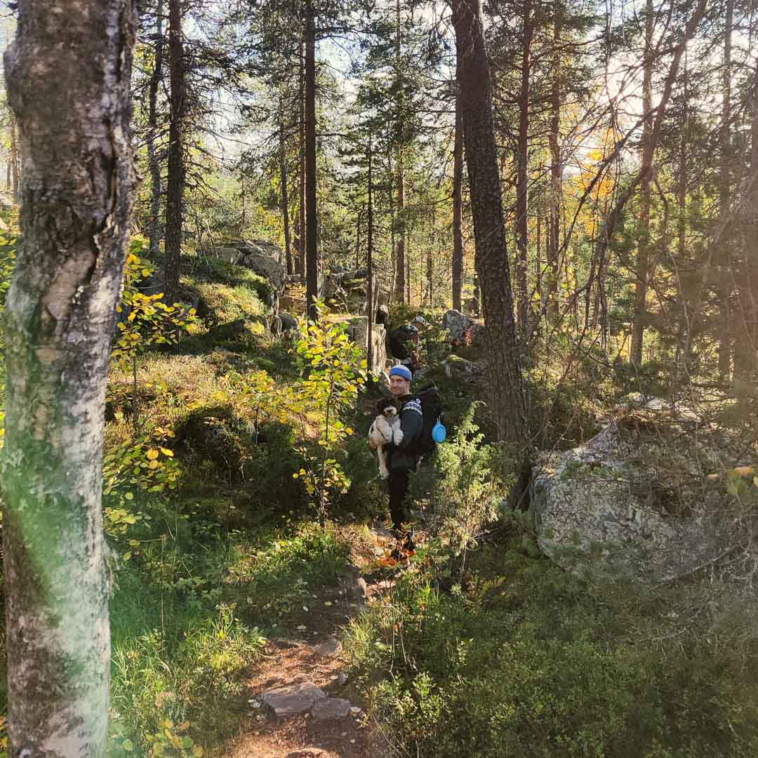 Rovaniemi Summer Guide: Midnight Sun & Top Activities